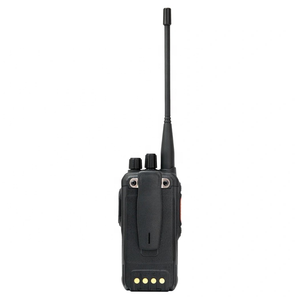 DP485 (1).webp