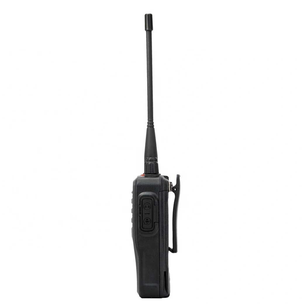 DP485 (5).webp